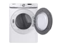 Front Load Electric Dryer view 9