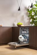 24 inch Dishwasher Tall Tub Panel Ready, 16 place settings, 39 dB, 8 wash cycles view 15