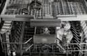24 inch Dishwasher Tall Tub with Stainless Steel Panel and Bar Handle, 16 place settings, 39 dB, 8 wash cycles view 4