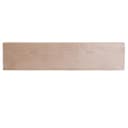 24 in. Unfinished Top Control Built-In Dishwasher with Tub and Traditional Style Handle, 52dBa view 14
