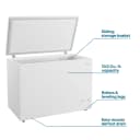 10.0 Cu. Ft. Chest Freezer view 4