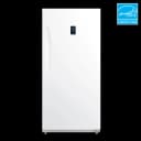 13.8 cu. ft. Upright Convertible Freezer / Refrigerator view 1