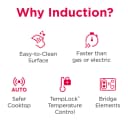30" Induction Range view 4