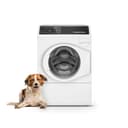 Right-Hinged Front Load Washer with Sanitize view 4