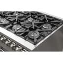 Massimo 48-Inch Freestanding Gas Range, 8 Burners, True Convection Oven view 10