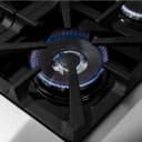 Massimo 48-Inch Freestanding Gas Range, 8 Burners, True Convection Oven view 14