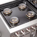 Capriasca 48-Inch Freestanding French Door Dual Fuel Range, 8 Burners, True Convection Oven view 11