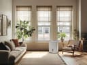22 Pint Dehumidifier with Wi-Fi (Energy Star) view 6