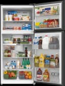 19 Cu. Ft. Garage Ready Top Freezer Refrigerator view 2