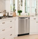 Dishwasher with Hidden Controls view 39