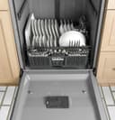 Dishwasher with Hidden Controls view 11