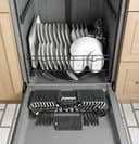 Dishwasher with Hidden Controls view 8