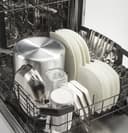 Stainless Steel Interior Dishwasher with Hidden Controls view 25