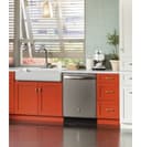Stainless Steel Interior Dishwasher with Hidden Controls view 25
