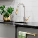 Autograph Edition Gemini Pull Down Single Handle Kitchen Faucet In Brushed Nickel And Champagne Bronze view 8