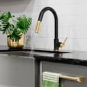 Autograph Edition Gemini Pull Down Single Handle Kitchen Faucet In Matte Black And Champagne Bronze view 8