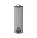 RealMAX Platinum 40-Gallon Tall Natural Gas Atmospheric Water Heater view 1