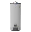 RealMAX Choice 50-Gallon Tall Natural Gas Atmospheric Water Heater view 1