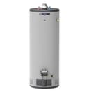 RealMAX Premium 50-Gallon Tall Natural Gas Atmospheric Water Heater view 1