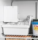 19.2 Cu. Ft. Top-Freezer Refrigerator view 7