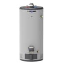 RealMAX Premium 40-Gallon Short Liquid Propane Atmospheric Water Heater view 1