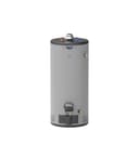 RealMAX Platinum 40-Gallon Short Liquid Propane Atmospheric Water Heater view 1