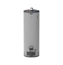 RealMAX Platinum 40-Gallon Tall Liquid Propane Atmospheric Water Heater view 1