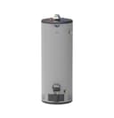 RealMAX Platinum 50-Gallon Tall Liquid Propane Atmospheric Water Heater view 1