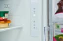 19 Cu. Ft. Single-Door Refrigerator view 6