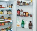 19 Cu. Ft. Single-Door Refrigerator view 8