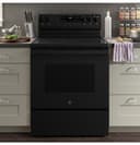 Ge® Energy Star® 30" Free-standing Electric Range With Crisp Mode view 18