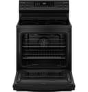 Ge® Energy Star® 30" Free-standing Electric Convection Range With No Preheat Air Fry And Easywash™ Oven Tray view 21