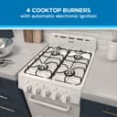 20" Gas Range Oven view 3