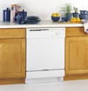 Built-In Dishwasher view 1