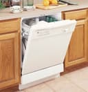 Built-In Dishwasher view 2