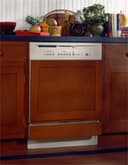 Built-In Dishwasher view 2