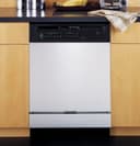 Triton Built-In Dishwasher view 1