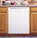 Triton XL Built-In Dishwasher view 2