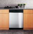 Triton XL Built-In Dishwasher view 2