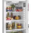 9.8 Cu. Ft. Top Freezer Refrigerator view 7