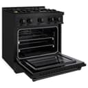 ZLINE 30 in. 4.2 cu. ft. Select Dual Fuel Range with Gas Cooktop and Electric Convection Oven in Black Stainless Steel with 4 Brass Burners (HDRB-BR-30) view 4