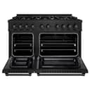 ZLINE 48 in. 6.7 cu. ft. Select Double Oven Dual Fuel Range in Black Stainless Steel with 8 Brass Burners (HDRB-BR-48) view 4
