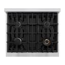 ZLINE 30 in. 4.2 cu. ft. Select Dual Fuel Range with 4 Burner Gas Cooktop and Electric Convection Oven in Stainless Steel with Black Matte Door (HDR-BLM-30) view 7