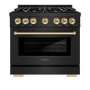 Autograph Edition 36 in. 5.2 cu. ft. Select Dual Fuel Range with 6 Burner Gas Cooktop and Electric Convection Oven view 4