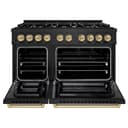 Autograph Edition 48 in. 6.7 cu. ft. Select Double Oven Dual Fuel Range with 8 Burner Gas Cooktop view 4
