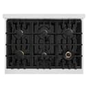 ZLINE 36 in. 5.2 cu. ft. Select Dual Fuel Range with Gas Cooktop and Electric Convection Oven in DuraSnow® Stainless Steel with 6 Brass Burners (HDRS-BR-36) view 7