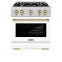 Autograph Edition 30 in. 4.2 cu. ft. Select Dual Fuel Range with 4 Burner Gas Cooktop and Electric Convection Oven view 4