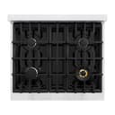 ZLINE 30 in. 4.2 cu. ft. Select Dual Fuel Range with 4 Burner Gas Cooktop and Electric Convection Oven in Stainless Steel with White Matte Door (HDR-WM-30) view 7