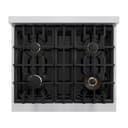 ZLINE Autograph Edition 30 in. 4.2 cu. ft. Select Dual Fuel Range with 4 Burner Gas Cooktop and Electric Convection Oven in Stainless Steel with Champagne Bronze Accents (HDRZ-30-CB) view 6