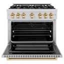 ZLINE Autograph Edition 36 in. 5.2 cu. ft. Select Dual Fuel Range with 6 Burner Gas Cooktop and Electric Convection Oven in Stainless Steel with Polished Gold Accents (HDRZ-36-G) view 5